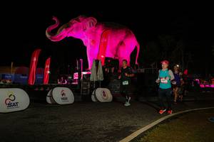 BIB: 
                            <button type="button" onclick="openModal(26534211)" class="btn btn-primary btn-sm float-right btn-popup" data-toggle="modal" data-target=".modal-high-quality">
                        <i class="fas fa-shopping-cart"></i> Add to Cart
                    </button>
                                            <button type="button" onclick="isThisMe(26534211, true)" class="btn btn-success btn-sm float-right btn-popup btn-isme hidden" data-toggle="tooltip" data-placement="bottom" title="นี่คือรูปของคุณใช่ไหม คลิกที่นี่เพื่อเอาเข้าอัลบั้ม">
                        <i class="fas fa-plus"></i> Add to album
                    </button>
                    <button type="button" onclick="isThisMe(26534211, false)" class="btn btn-warning btn-sm float-right btn-popup btn-isnotme hidden">
                        <i class="fas fa-ban"></i> Remove from album
                    </button>